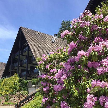 Panorama Point Apartment Sasbachwalden Exterior foto