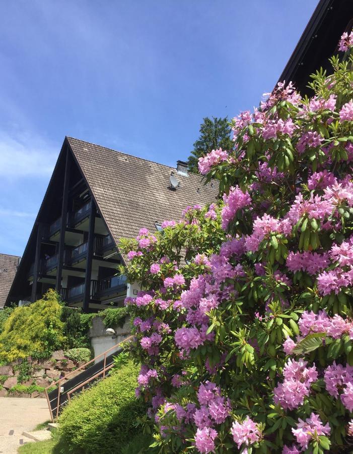 Panorama Point Apartment Sasbachwalden Exterior foto